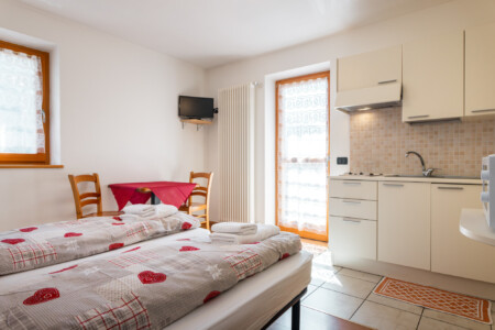 Apartament C1